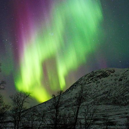 6 Person Holiday Home In Senjahopen Mefjordvær Eksteriør billede